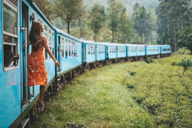 2 Day Tour of Yala & Ella With Hill Country Scenic Train Ride - All Inclusive - Accommodation and Meals