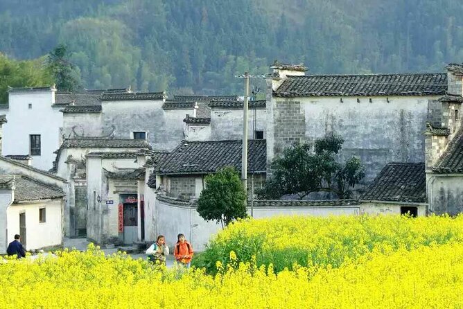 2-Day Tour Private Huangshan Yellow Mountain Tour From Shanghai - Destination Highlights