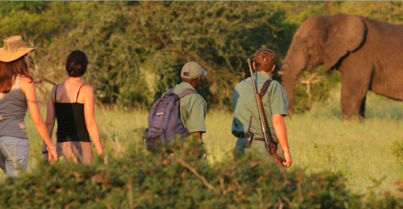 2 Day Tour Tala Ga Reserve & Drakensberg Mountains Fr Durban - Tala Game Reserve Experience