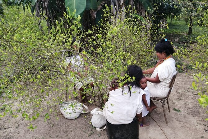 2-Day Tour to Ancestral Heritage From Santa Marta - Key Points