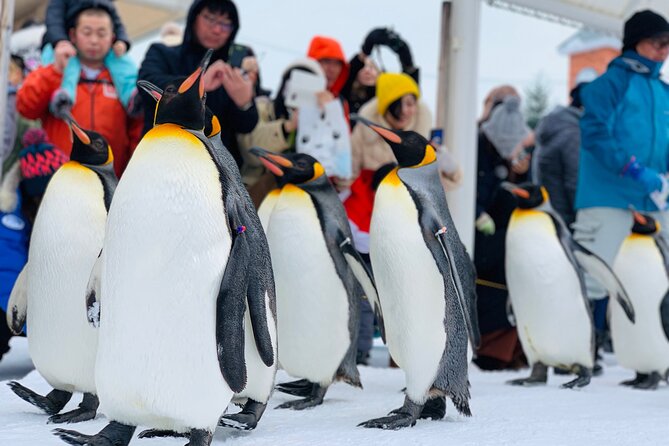 2 Day Tour to Icebreaker Mombetsu and Asahiyama Zoo in Hokkaido - Inclusions