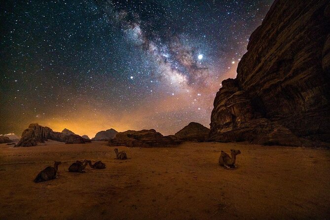 2-Day Tour to Petra, Wadi Rum, Wadi Mujib, Aqaba, and Dead Sea - Reviews and Feedback