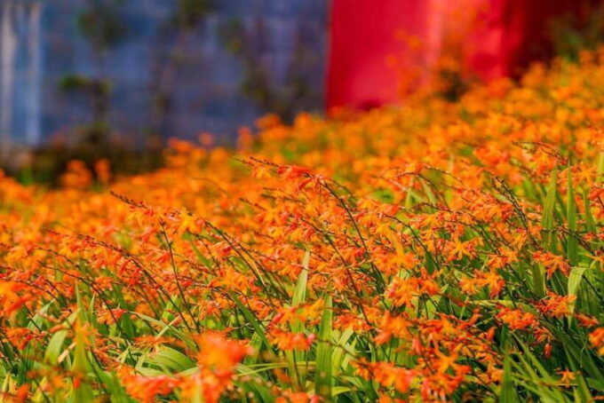 2-Day Tour To Sapa Stay Hotel With Beautiful Natural View - Tour Inclusions and Exclusions