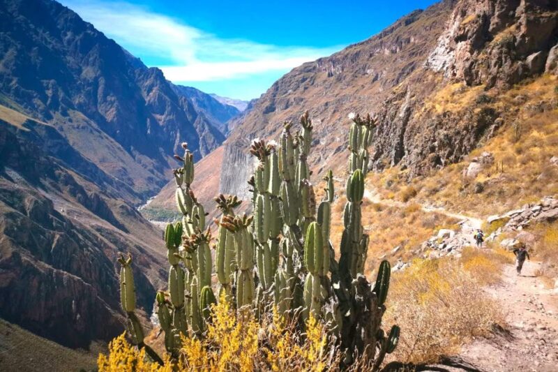 2-Day Tour to the Colca Valley and the Cruz Del Condor - Itinerary: Day 1 - Arequipa to Chivay
