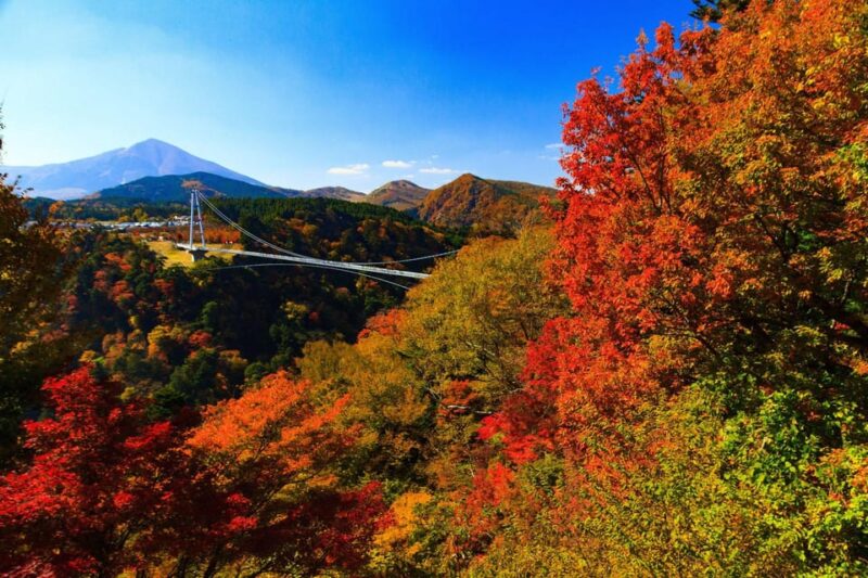 2 Day Tours: TAKACHIHO & BEPPU, YUFUIN, KOKONOE From Fukuoka - Highlights