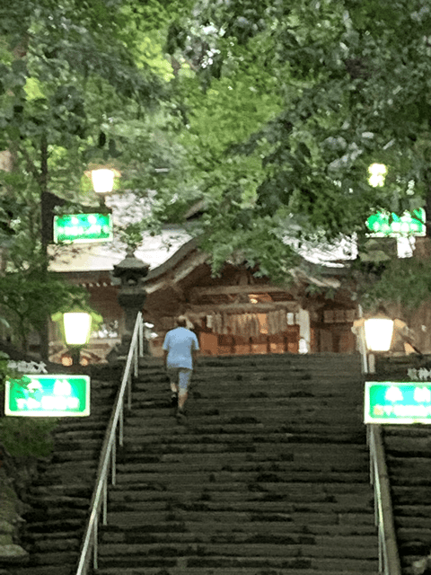 2 Day Tours: TAKACHIHO & BEPPU, YUFUIN, KOKONOE From Fukuoka - Accessibility and Language