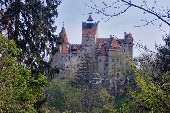 2-Day Transylvania Culture Trek From Brasov - Small Group Tour - About Your Stay