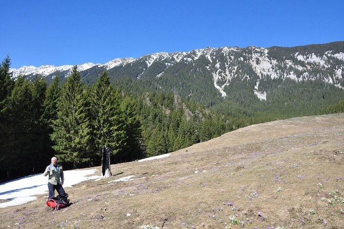 2-Day Transylvania Culture Trek From Brasov - Small Group Tour - Culinary Delights of Transylvania