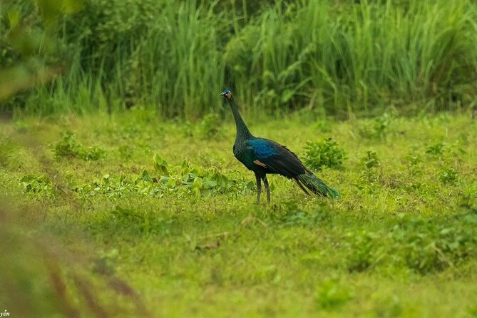 2-Day Trekking & Biking Nam Cat Tien National Park From HCM City - Reviews