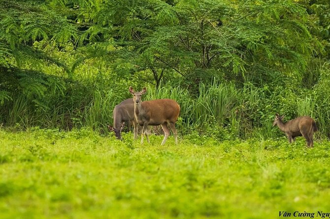 2-Day Trekking & Biking Nam Cat Tien National Park From HCM City - Scenic Drive and Floating Houses