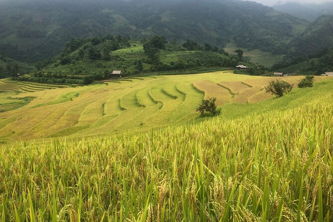 2 Day Trekking Experience: Explore With Knowledgeable Local Guide - Trekking Experience Overview