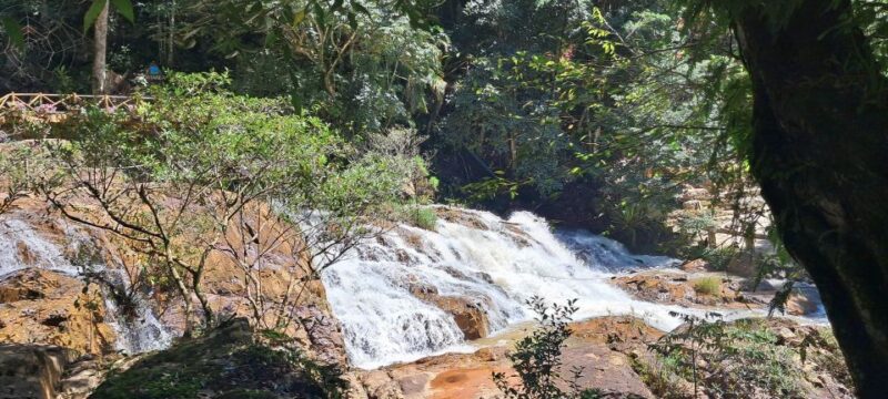 2-Day Trip - Phan Rang to Dalat - Dalat Countryside - Linhphuoc Pagoda and Robin Hill