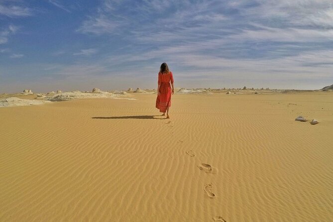 2 Day Trip to Bahariya Oasis White Desert From Cairo - Inclusions and Logistics