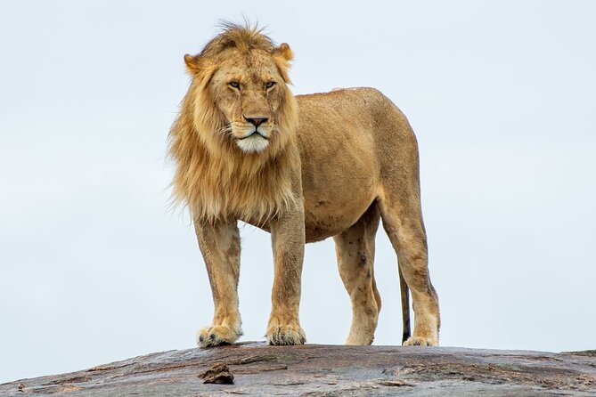 2-Day Tsavo East Private Tour - Key Points