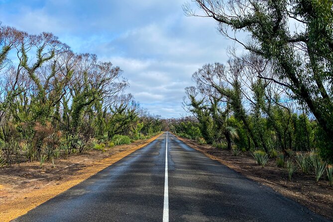 2 Day Ultimate Kangaroo Island With Return Ferry - Wildlife Encounters