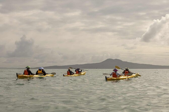 2-Day Waiheke Island Sea Kayak Tour - Kayaking Experience