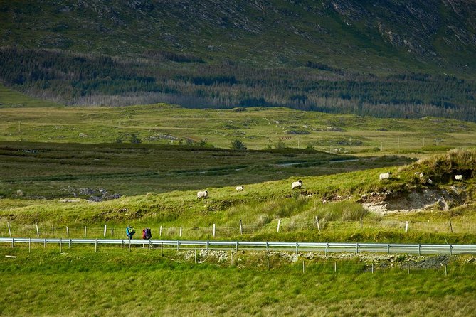 2-Day Western Ireland Tour From Dublin:Including Galway and Cliffs of Moher - Day 2 Itinerary