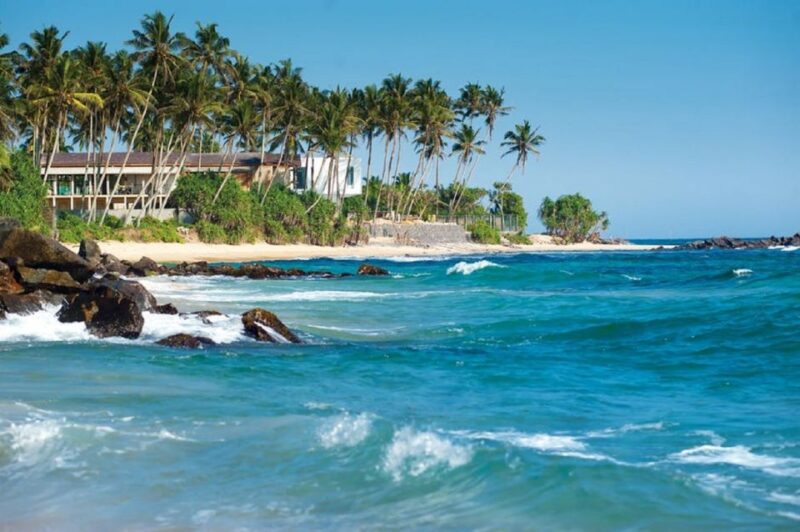 2-Day Whale Watching & Southern Sri Lanka Tour - Customer Reviews