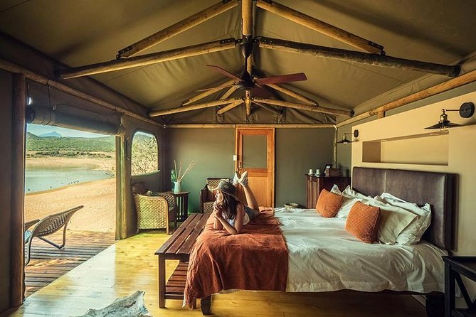 2 Day Wild Heart Western Cape Safari Tour With Private Transfers - Reviews and Ratings