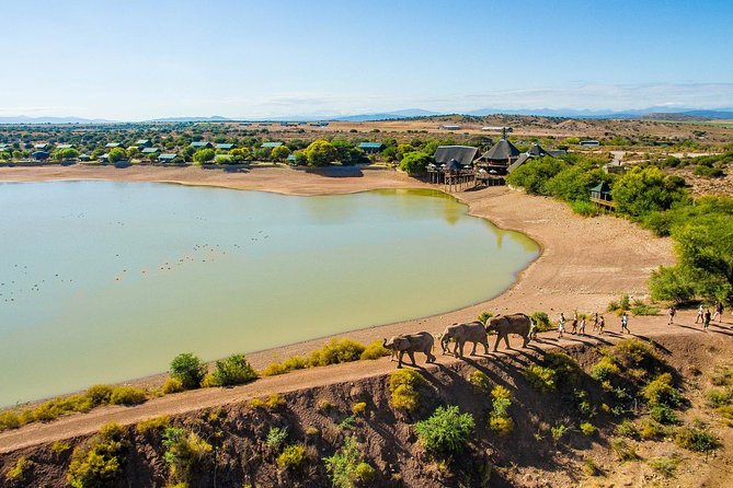 2 Day Wild Heart Western Cape Safari Tour With Private Transfers - Accessibility and Sustainability