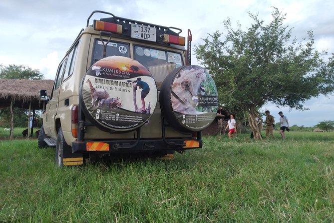 2 Day Wildlife Experience and Masai Culture Mikumi Park - Explore Mikumi National Park