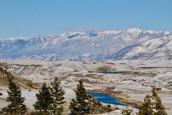 2-Day Yellowstone National Park Upper and Lower Loop Exploration - Taking in Yellowstones Diverse Ecosystems