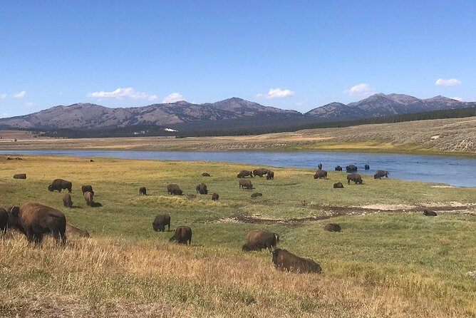 2-Day Yellowstone National Park Upper and Lower Loop Exploration - Photographing Yellowstones Breathtaking Landscapes