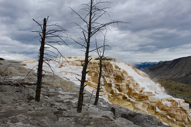 2-Day Yellowstone National Park Upper and Lower Loop Exploration - Navigating Yellowstones Upper and Lower Loops