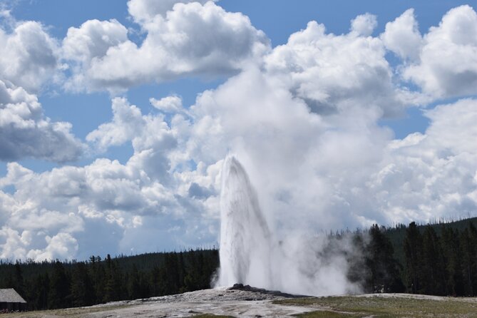 2-Day Yellowstone Tour Lower and Upper Loop Guided Tour - Highlights From Reviews