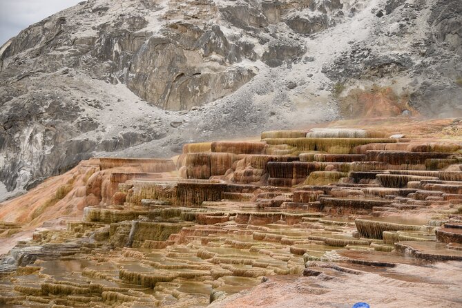 2-Day Yellowstone Tour Lower and Upper Loop Guided Tour - Highlights From Reviews