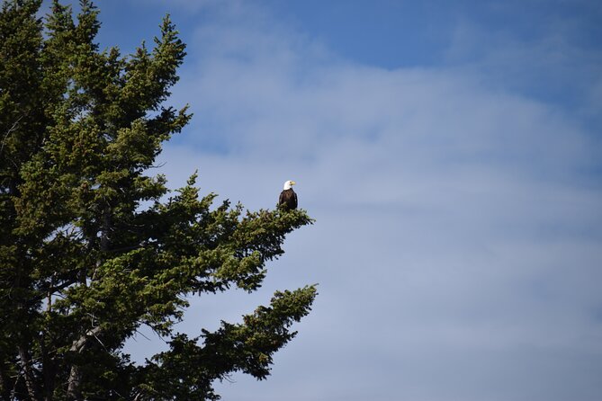 2-Day Yellowstone Tour Lower and Upper Loop Guided Tour - Recommended Guide and Experience