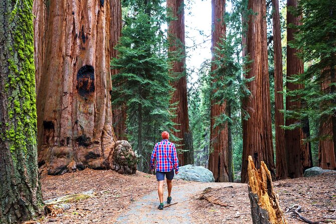 2-Day Yosemite National Park Tour From San Francisco - Day 2 Highlights