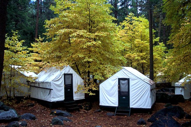 2-Day Yosemite National Park Winter Tour From San Francisco - Itinerary Details