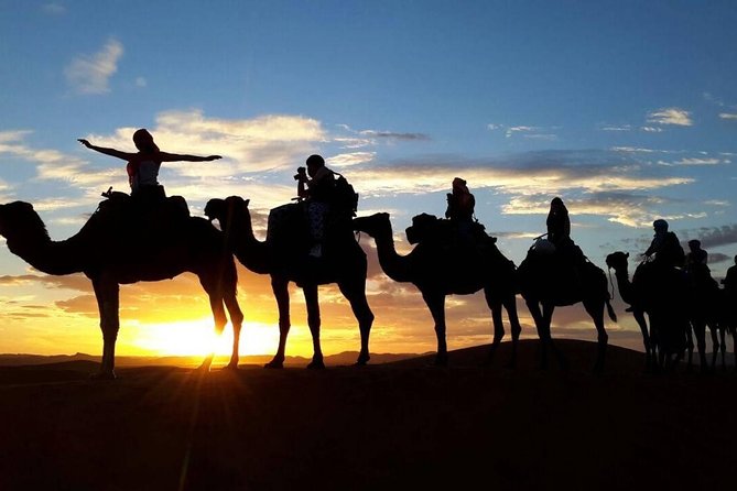 2-Day Zagora Desert Tour From Marrakech - Zagora Desert Adventure