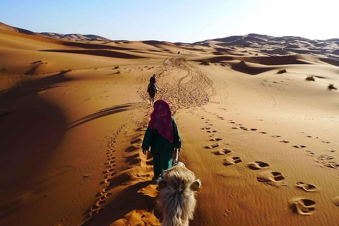 2 Day Zagora Tour From Marrakech Including the Atlas Mountains, Camel Trek and Desert Camp - Camel Trek Experience