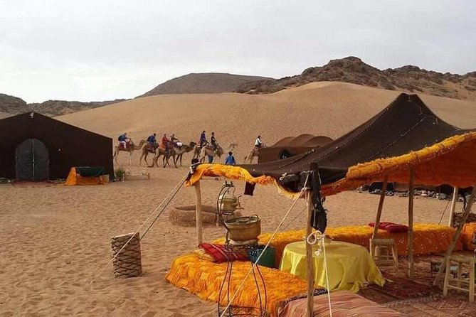 2-Day Zagora Tour From Marrakech Including the Atlas Mountains, Camel Trek and Desert Camp - The Ancient Town of Ouarzazate