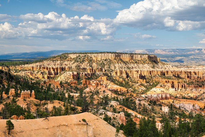 2 Day Zion and Bryce in Depth National Tour Camp or Lodge Options - Customer Testimonials