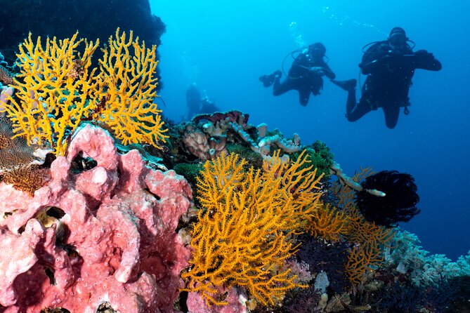 2 Days & 1 Night - 2 Dives in Lembongan/Penida (For Certified Divers) - Requirements and Health Considerations