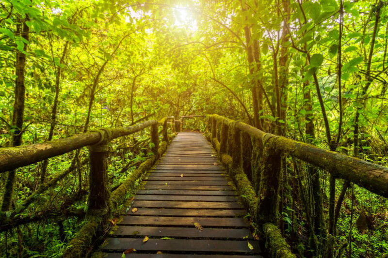 2 Days 1 Night: Baan Pa Pong Piang and Doi Inthanon - Wachirathan Waterfall