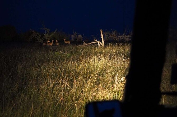 (2 Days, 1 Night) Day & Night Game Drive Tsavo East National Park - Cancellation Policy