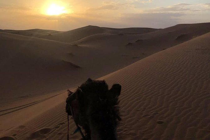 2 Days/1 Night Desert Tour From Fes and Back to Fes - Meeting and Pickup