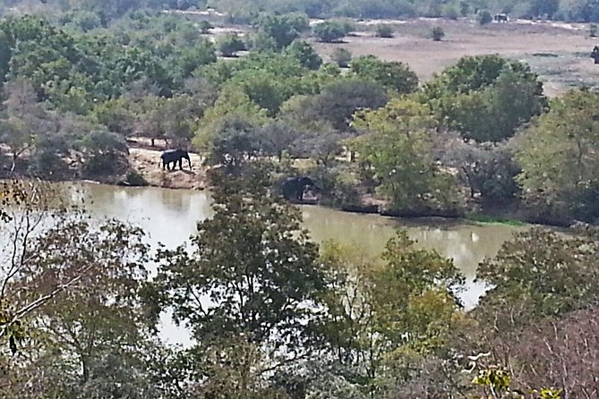 2 Days (1 Night) Elephants Safari at Mole Park With Round - Trip Flights - Itinerary and Safari Activities