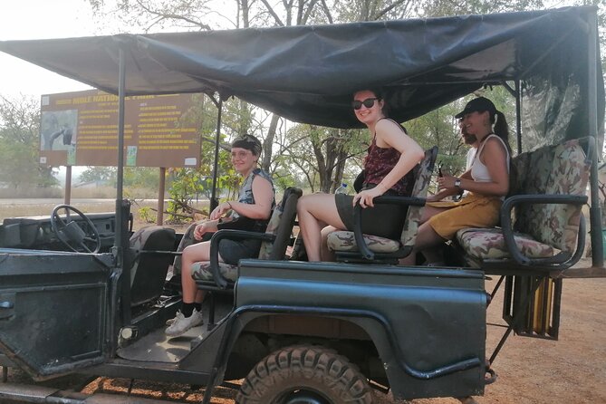 2 Days (1 Night) Elephants Safari at Mole Park With Round - Trip Flights - Health and Accessibility Considerations