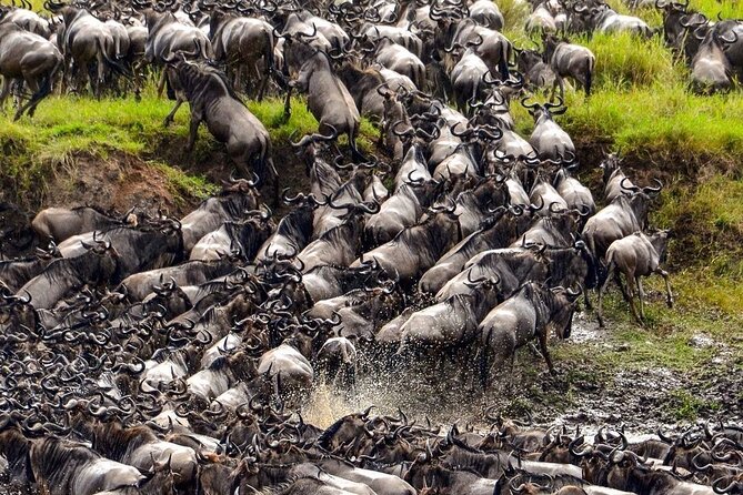 2 Days 1 Night Mikumi National Park: a Perfect Private Safari - Your Itinerary for the Safari