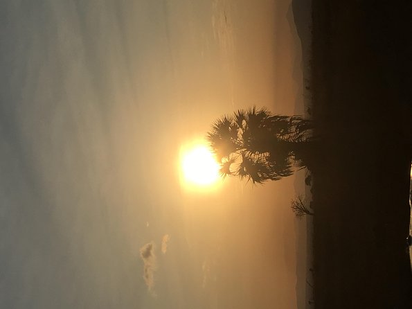 2 Days 1 Night Mikumi National Park - Wildlife and Habitats
