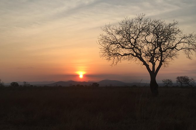 2 Days 1 Night Mikumi National Park - Reviews and Ratings