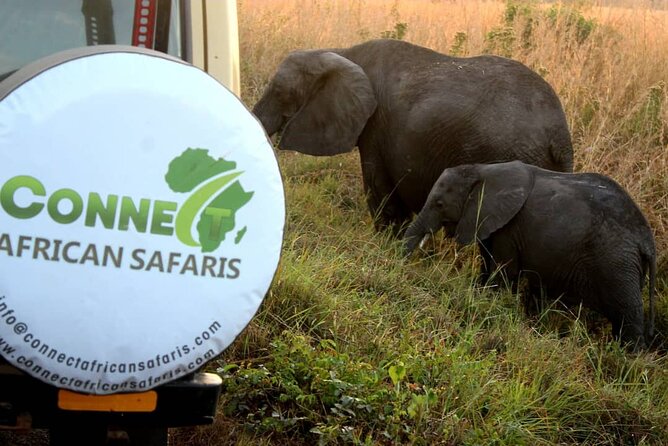 2 Days/ 1 Night Mikumi Tanzania National Park Safari - Safari Inclusions