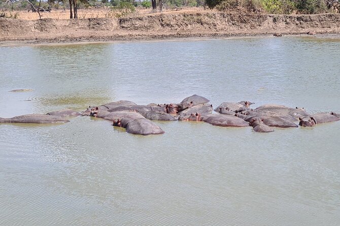 2 Days/ 1 Night Mikumi Tanzania National Park Safari - Accommodation Options