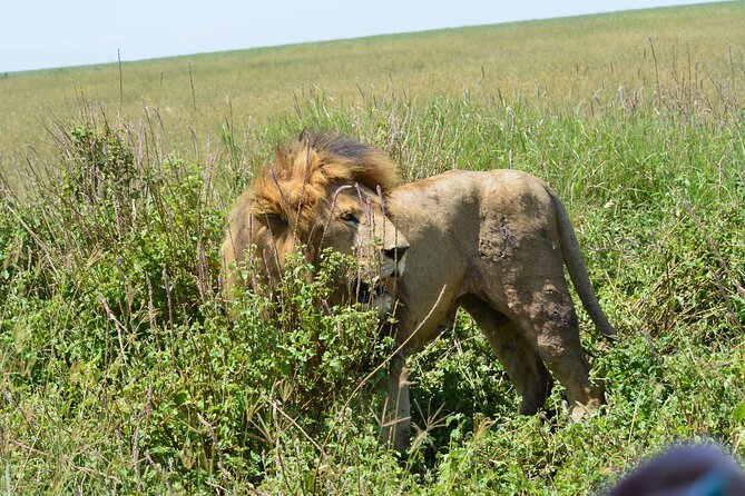 2 Days 1 Night Northern Joining Safari Private Tour - Pricing and Cancellation Policy