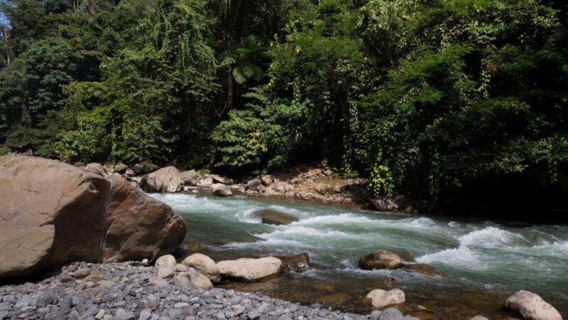2 Days 1 Night Orangutan Trek Bukit Lawang - Itinerary Details